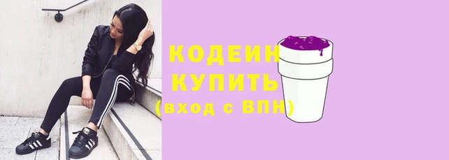 соль ск Ладушкин