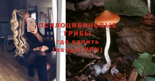 прущая мука Лагань