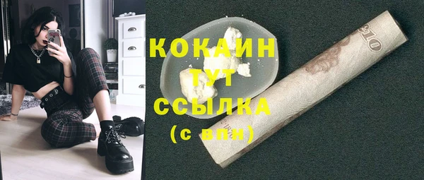 соль ск Ладушкин
