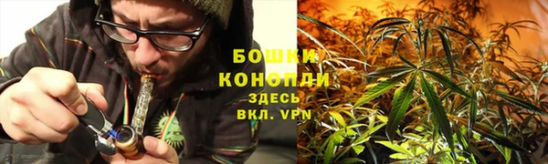 соль ск Ладушкин
