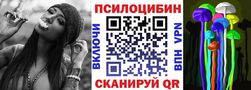 гидра ссылки  где купить наркоту  Шацк  Псилоцибиновые грибы Psilocybe 